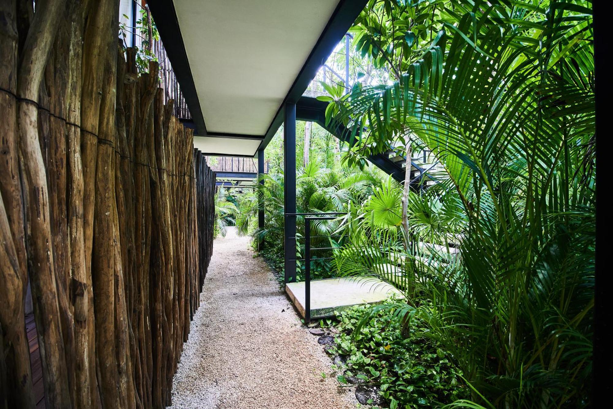 Disfruta De Tulum En Aldea Zama Apartamento Con Piscina Privada Y Seguridad 24 7 Exterior foto